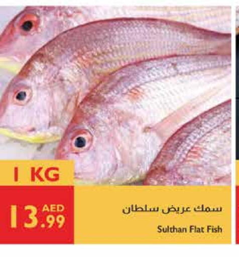 available at Istanbul Supermarket in UAE - Dubai