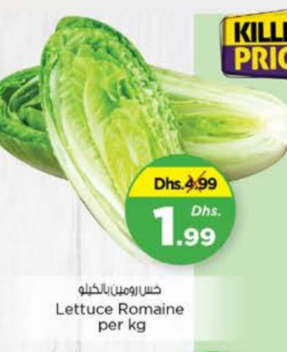 Lettuce available at Nesto Hypermarket in UAE - Al Ain