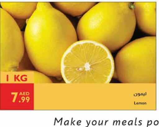 lemon available at Istanbul Supermarket in UAE - Al Ain