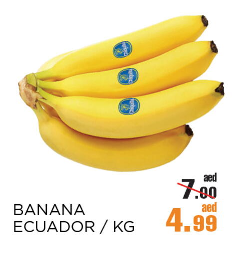 Banana from Ecuador available at OK Hypermarket LLC SPC in UAE - Abu Dhabi