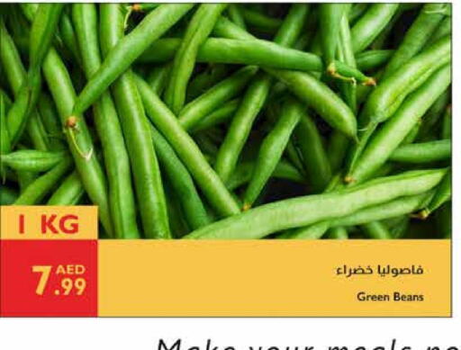 Beans available at Istanbul Supermarket in UAE - Al Ain