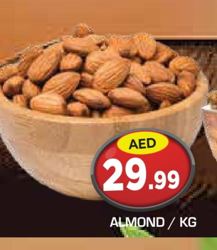 available at سنابل بني ياس in الإمارات العربية المتحدة , الامارات - أبو ظبي