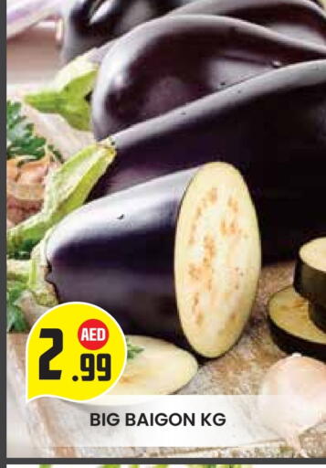 الخضروات الطازجة in سنابل بني ياس, UAE Offers - الإمارات العربية المتحدة available at سنابل بني ياس in الإمارات العربية المتحدة , الامارات - ٱلْعَيْن