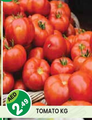Tomato available at Baniyas Spike  in UAE - Abu Dhabi