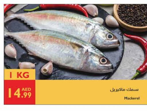 available at Istanbul Supermarket in UAE - Abu Dhabi