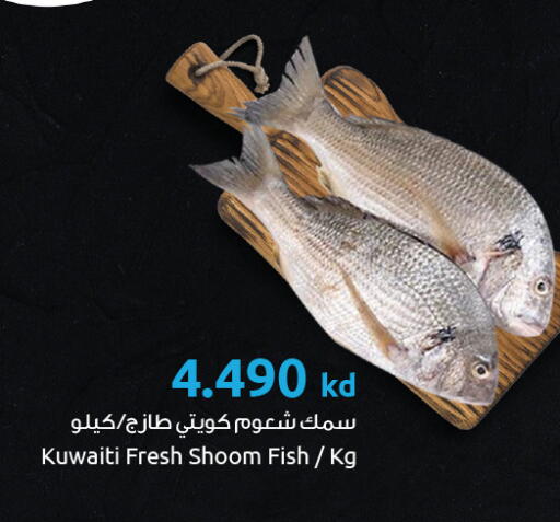 available at The Sultan Center in Kuwait - Ahmadi Governorate