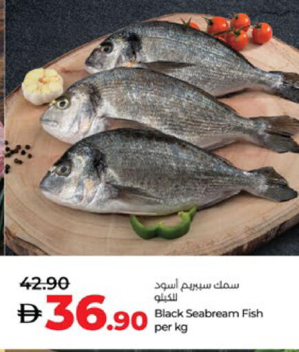 available at Lulu Hypermarket in UAE - Abu Dhabi