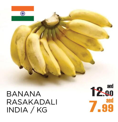 Banana from India available at OK Hypermarket LLC SPC in UAE - Abu Dhabi