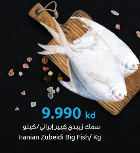 available at The Sultan Center in Kuwait - Ahmadi Governorate