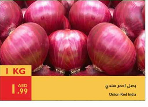 الخضروات الطازجة in إسطنبول سوبرماركت, UAE Offers - الإمارات العربية المتحدة بصل from India available at إسطنبول سوبرماركت in الإمارات العربية المتحدة , الامارات - ٱلْعَيْن