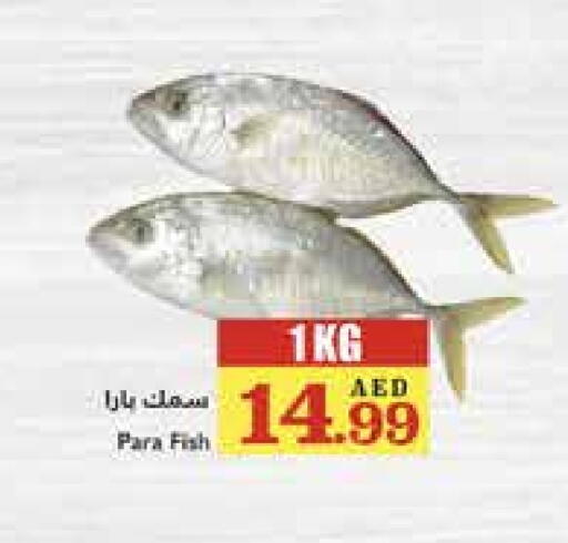 available at Trolleys Supermarket in UAE - Dubai