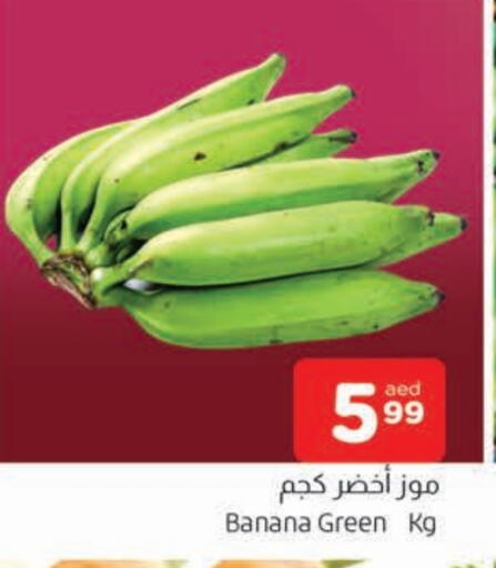 موز أخضر available at المدينة in الإمارات العربية المتحدة , الامارات - الشارقة / عجمان