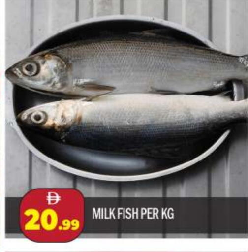 available at BIGmart in UAE - Dubai