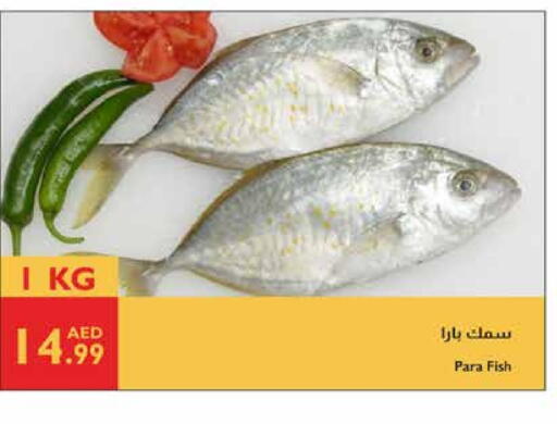 available at Istanbul Supermarket in UAE - Dubai