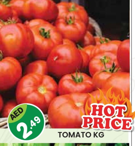 Tomato available at Baniyas Spike  in UAE - Abu Dhabi