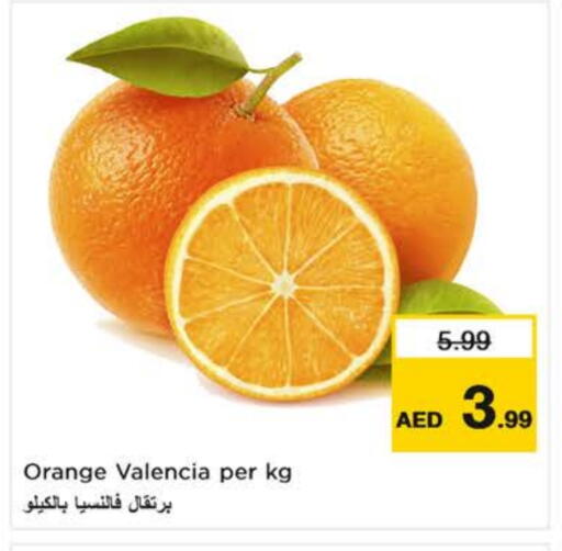 برتقال available at نستو هايبرماركت in الإمارات العربية المتحدة , الامارات - ٱلْفُجَيْرَة‎
