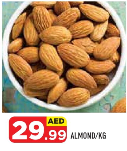 available at سنابل بني ياس in الإمارات العربية المتحدة , الامارات - أبو ظبي