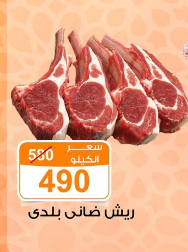available at جملة ماركت in Egypt - القاهرة