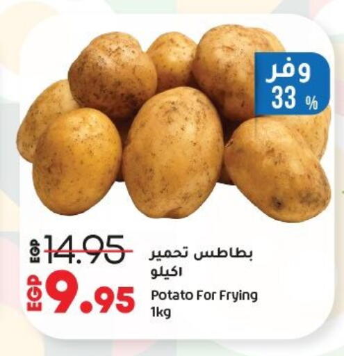 Fresh Vegetables in Lulu Hypermarket , Egypt Offers - Egypt Potato available at Lulu Hypermarket in Egypt - Cairo