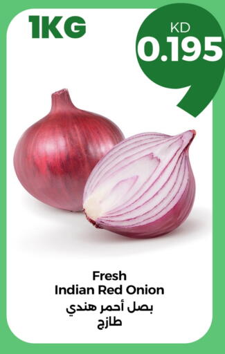 Onion available at Taw9eel.com in Kuwait - Ahmadi Governorate