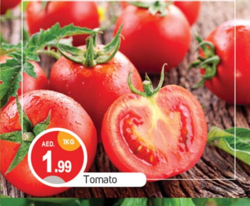 Tomato available at TALAL MARKET in UAE - Abu Dhabi