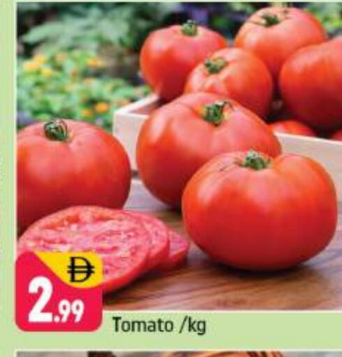 Tomato available at Shaklan  in UAE - Dubai