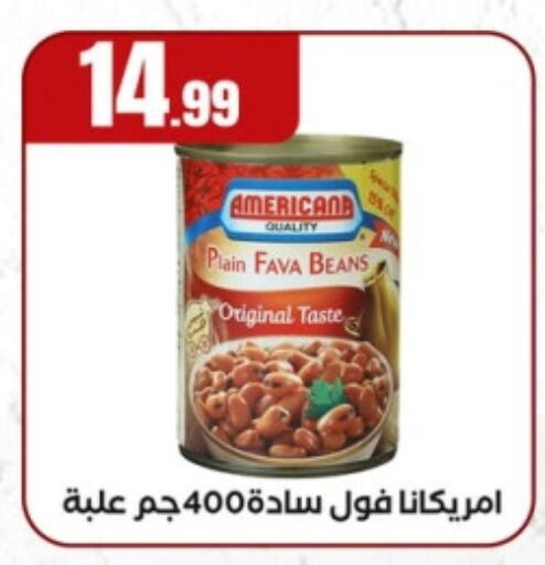 AMERICANA Fava Beans available at MartVille in Egypt - Cairo