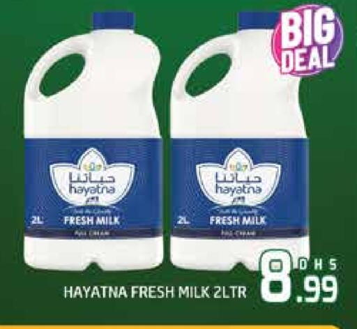 HAYATNA Fresh Milk available at Al Madina  in UAE - Dubai