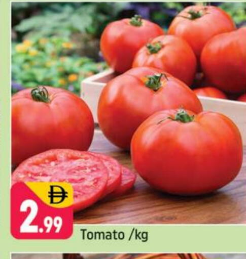 Tomato available at Shaklan  in UAE - Dubai