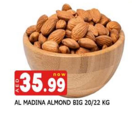available at AL MADINA (Dubai) in UAE - Dubai