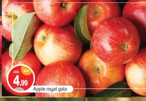 Apples available at TALAL MARKET in UAE - Abu Dhabi