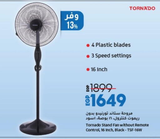 TORNADO Fan available at Lulu Hypermarket  in Egypt