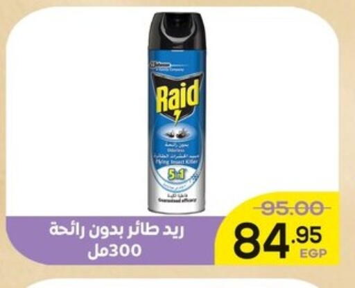 Insect Repellent in Aldoha Market, Egypt Offers - Egypt RAID available at Aldoha Market in Egypt - Cairo