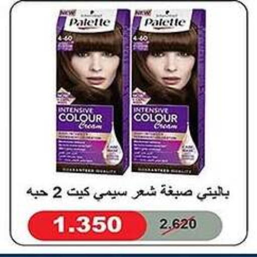 PALETTE Hair Colour available at Al Fahaheel Co - Op Society in Kuwait - Jahra Governorate