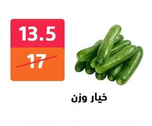 الخضروات الطازجة in هايبر المدينة دمياط, Egypt Offers - Egypt خيار available at هايبر المدينة دمياط in Egypt - القاهرة