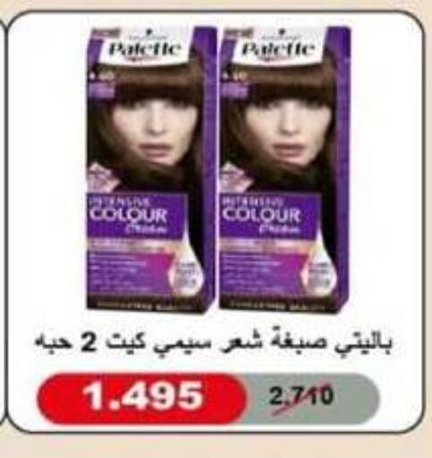 PALETTE Hair Colour available at North West Sulaibkhat Coop in Kuwait - Jahra Governorate