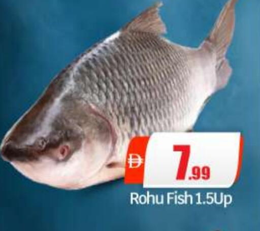 available at BIGmart in UAE - Abu Dhabi