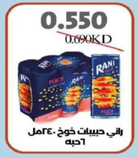 Soft Drinks in North West Sulaibkhat Coop, Kuwait Offers - Kuwait RANI available at North West Sulaibkhat Coop in Kuwait - Ahmadi Governorate