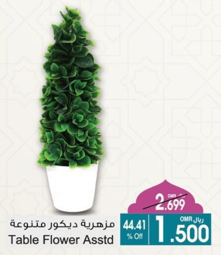 available at أيه & أتش in عُمان - مسقط‎
