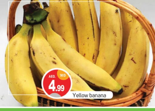 Banana available at TALAL MARKET in UAE - Abu Dhabi