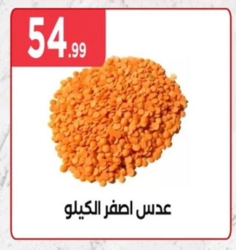 available at مارت فيل in Egypt - القاهرة