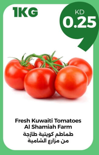 Tomato from Kuwait available at Taw9eel.com in Kuwait - Ahmadi Governorate