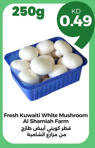 Mushroom from Kuwait available at Taw9eel.com in Kuwait - Ahmadi Governorate