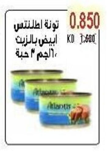 Tuna - Canned available at Salwa Co-Operative Society  in Kuwait - Jahra Governorate
