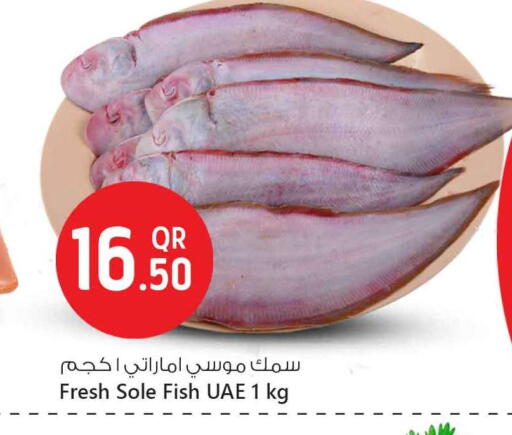 available at سفاري هايبر ماركت in قطر - الدوحة