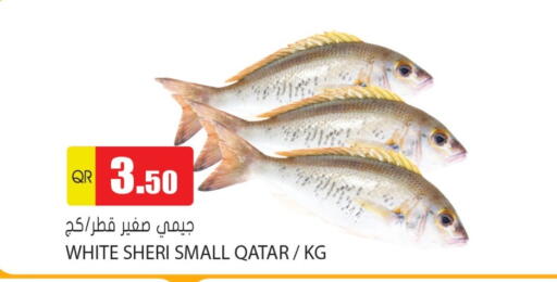 available at Grand Hypermarket in Qatar - Doha