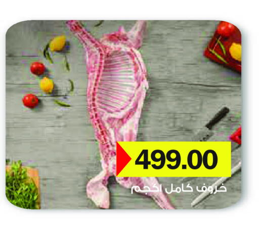 available at Royal House in Egypt - Cairo