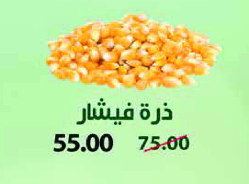 available at Royal House in Egypt - Cairo