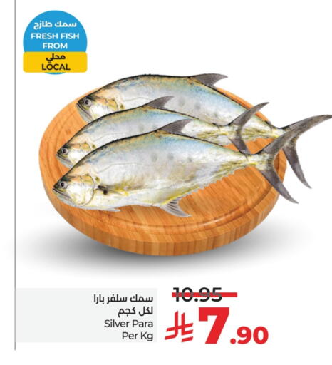 الأسماك الطازجة in لولو هايبرماركت, المملكة العربية السعودية Offers - المملكة العربية السعودية available at لولو هايبرماركت in مملكة العربية السعودية, السعودية, سعودية - حفر الباطن