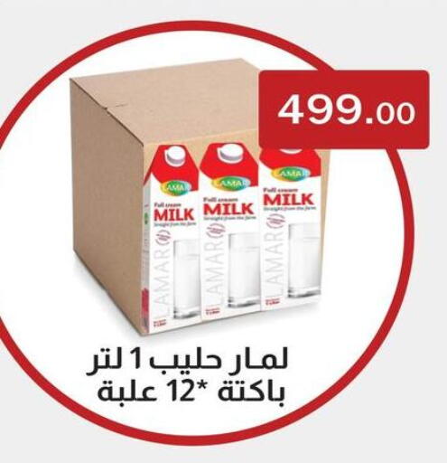 available at ABA market in Egypt - Cairo